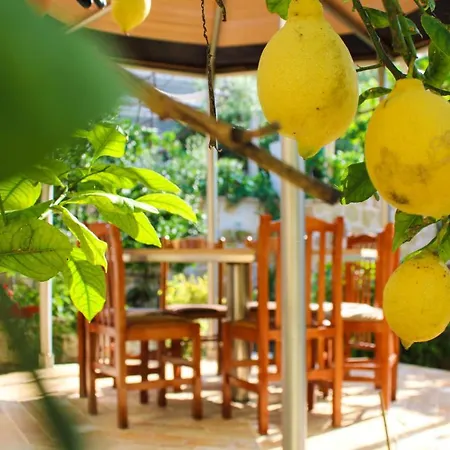 My Guest house Vlore