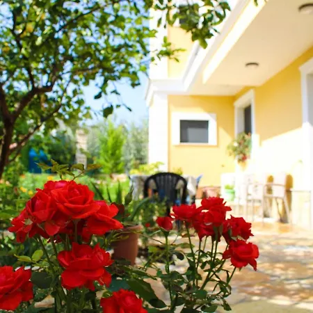 My Guest house 3*